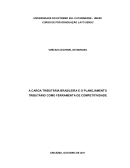 Vinicius Cechinel de Moraes