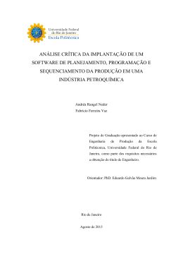 AN&Aacute;LISE CR&Iacute;TICA DA IMPLANTA&Ccedil;&Atilde;O DE UM