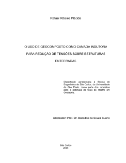 Rafael Ribeiro Pl&aacute;cido O USO DE GEOCOMPOSTO COMO