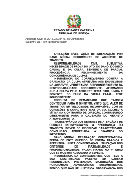 Apela&ccedil;&atilde;o C&iacute;vel n