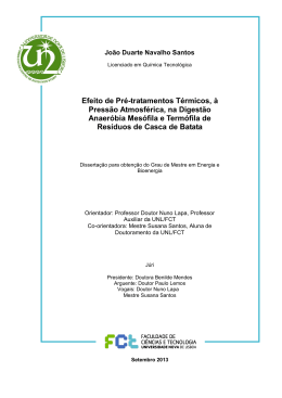 Efeito de Pr&eacute;-tratamentos T&eacute;rmicos, &agrave; Press&atilde;o Atmosf&eacute;rica