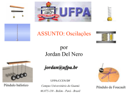 T - Universidade Federal do Par&aacute;