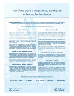 Princ&iacute;pios para a Seguran&ccedil;a, Qualidade