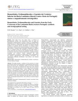 2. Bennettitales, Erdtmanithecales e Gnetales do Cret&aacute;cico