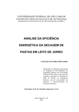 an&aacute;lise da efici&ecirc;ncia energ&eacute;tica da secagem de pastas