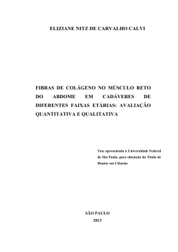 2013 08 doutorado ELIZIANE NITZ DE CARVALHO CALVI