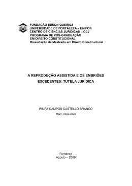 a reprodu&ccedil;&atilde;o assistida e os embri&otilde;es excedentes