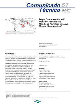 "African cassava mosaic bigeminivirus".