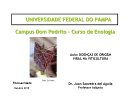 Aula v&iacute;rus-VIDEIRA