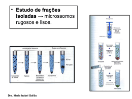 Ret&iacute;culo Endoplasm&aacute;tico - Departamento de Biologia
