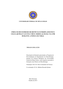 INDU&Ccedil;&Atilde;O DO ESTRESSE DO RET&Iacute;CULO ENDOPLASM&Aacute;TICO