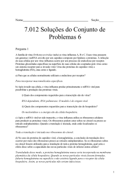 7.012 Solu&ccedil;&otilde;es do Conjunto de Problemas 6