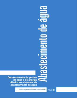 Gerenciamento de perdas de água e de energia elétrica