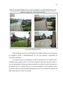 42 Sobre inundações por causa da urbanização Tucci
