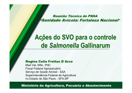 Ações do SVO para o controle de Salmonella Gallinarum