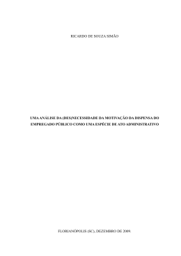 ricardo de souza sim&atilde;o uma an&aacute;lise da (des