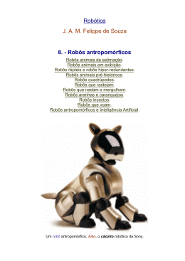 Rob&oacute;tica J. A. M. Felippe de Souza 8.