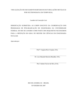 Leandro da Concei&ccedil;&atilde;o Luiz - Programa de Engenharia Nuclear da