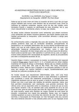 AS ANDORINAS MIGRAT&Oacute;RIAS EM RIO CLARO: SEUS IMPACTOS