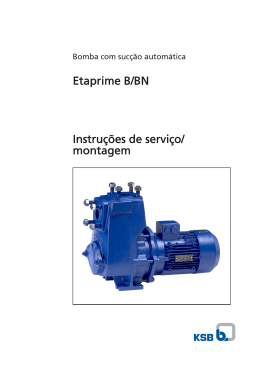 Etaprime B/BN