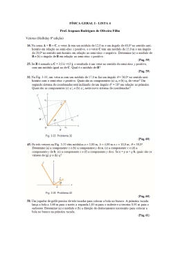 FÍSICA GERAL I - LISTA 4 Prof. Irapuan Rodrigues de Oliveira Filho