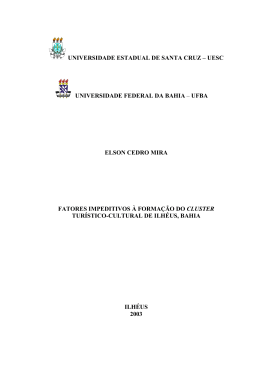 Dissertacao Elson Cedro Mira Pre Textual I