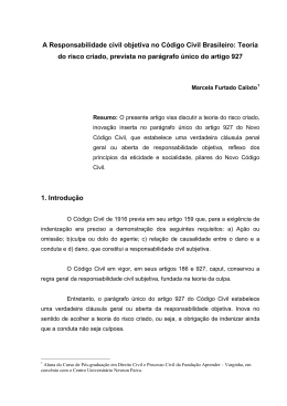 A Responsabilidade civil objetiva no C&oacute;digo Civil Brasileiro: Teoria