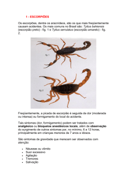 1 - ESCORPIÕES Os escorpiões, dentre os aracnídeos, são os que