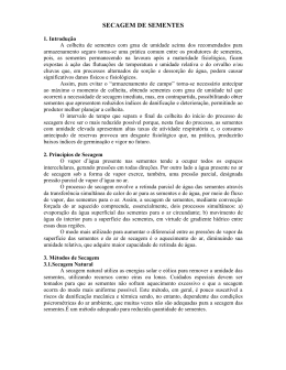 SECAGEM DE SEMENTES