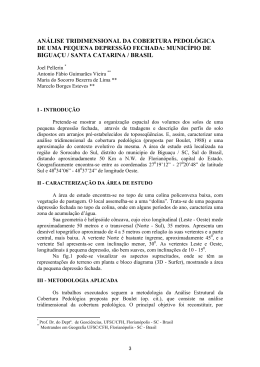 an&aacute;lise tridimensional da cobertura pedol&oacute;gica de uma pequena