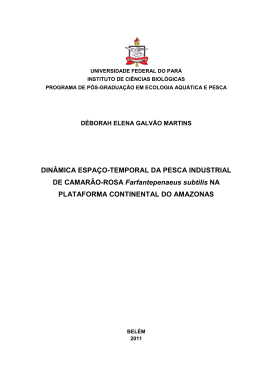 Disserta&ccedil;ao completa