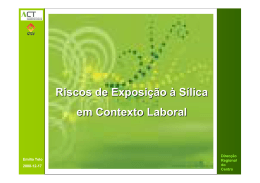 Riscos de Exposi&ccedil;&atilde;o &agrave; S&iacute;lica em Contexto Laboral