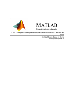 Dicas de utilização do MATLAB - Programa de Engenharia Química