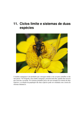11.1. Ciclos limite