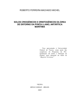 roberto ferreira machado michel solos criog&ecirc;nicos e