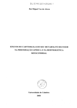 Rui Miguel Vaz de Abreu - Estudo Geral