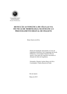 GERENCIAMENTO DE TEXTURAS PARA