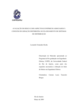avalia&ccedil;&atilde;o do risco e dos aspectos econ&ocirc;micos associados &agrave;