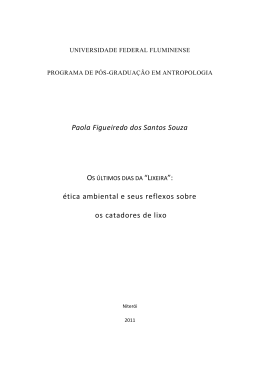 Paola Figueiredo dos Santos Souza &eacute;tica ambiental e seus reflexos