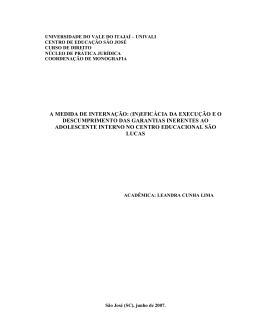 A MEDIDA DE INTERNA&Ccedil;&Atilde;O: (IN)EFIC&Aacute;CIA DA EXECU&Ccedil;&Atilde;O E O