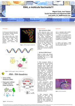 Poster sobre o RNA