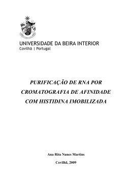 Purifica&ccedil;&atilde;o de RNA por Cromatografia de afinidade