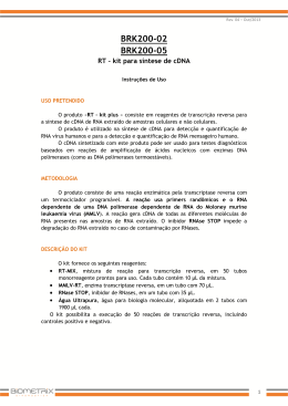 Kit para S&iacute;ntese de cDNA - Transcriptase Reversa