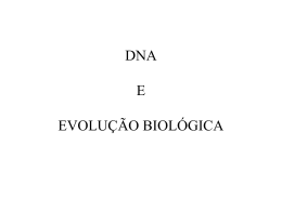 DNA E EVOLUÇÃO BIOLÓGICA