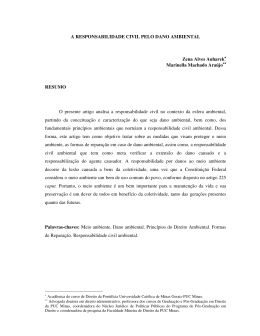 A Responsabilidade Civil pelo Dano Ambiental