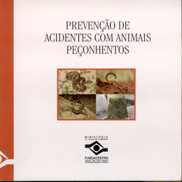 - Fundacentro