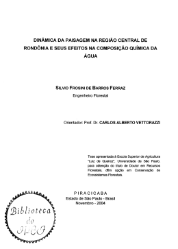 Din&acirc;mica da paisagem na regi&atilde;o central de Rond&ocirc;nia e seus