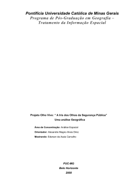 Pontif&iacute;cia Universidade Cat&oacute;lica de Minas Gerais Programa de P&oacute;s