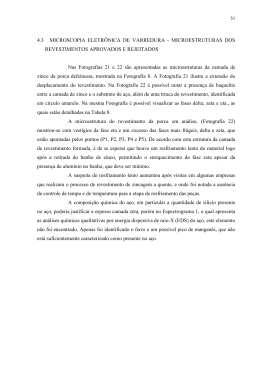 Danieli Cristina Pedroso2