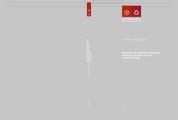 V&iacute;tor Patr&iacute;cio Rodrigues Ribeiro